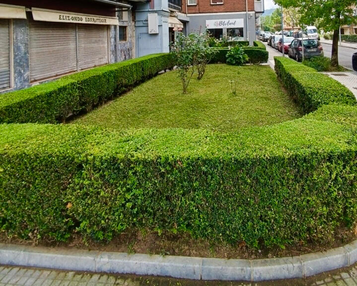Perfilado de setos