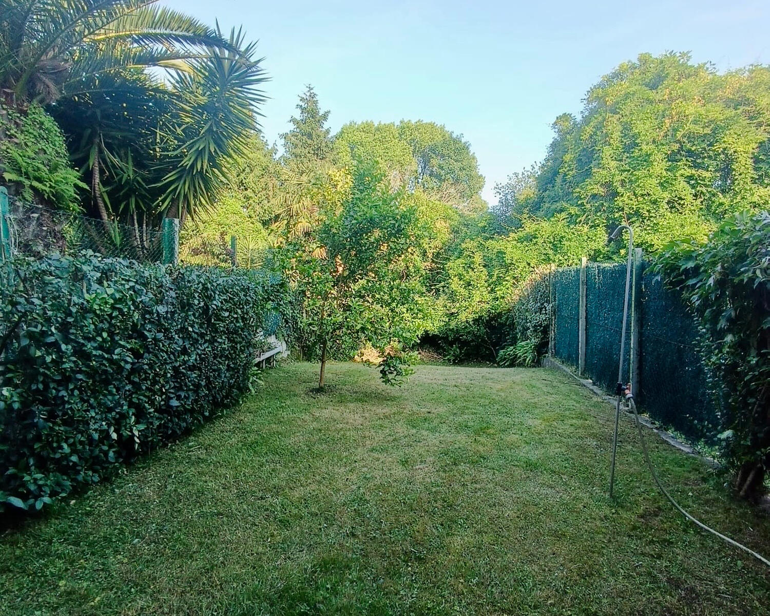 Mantenimiento de jardin